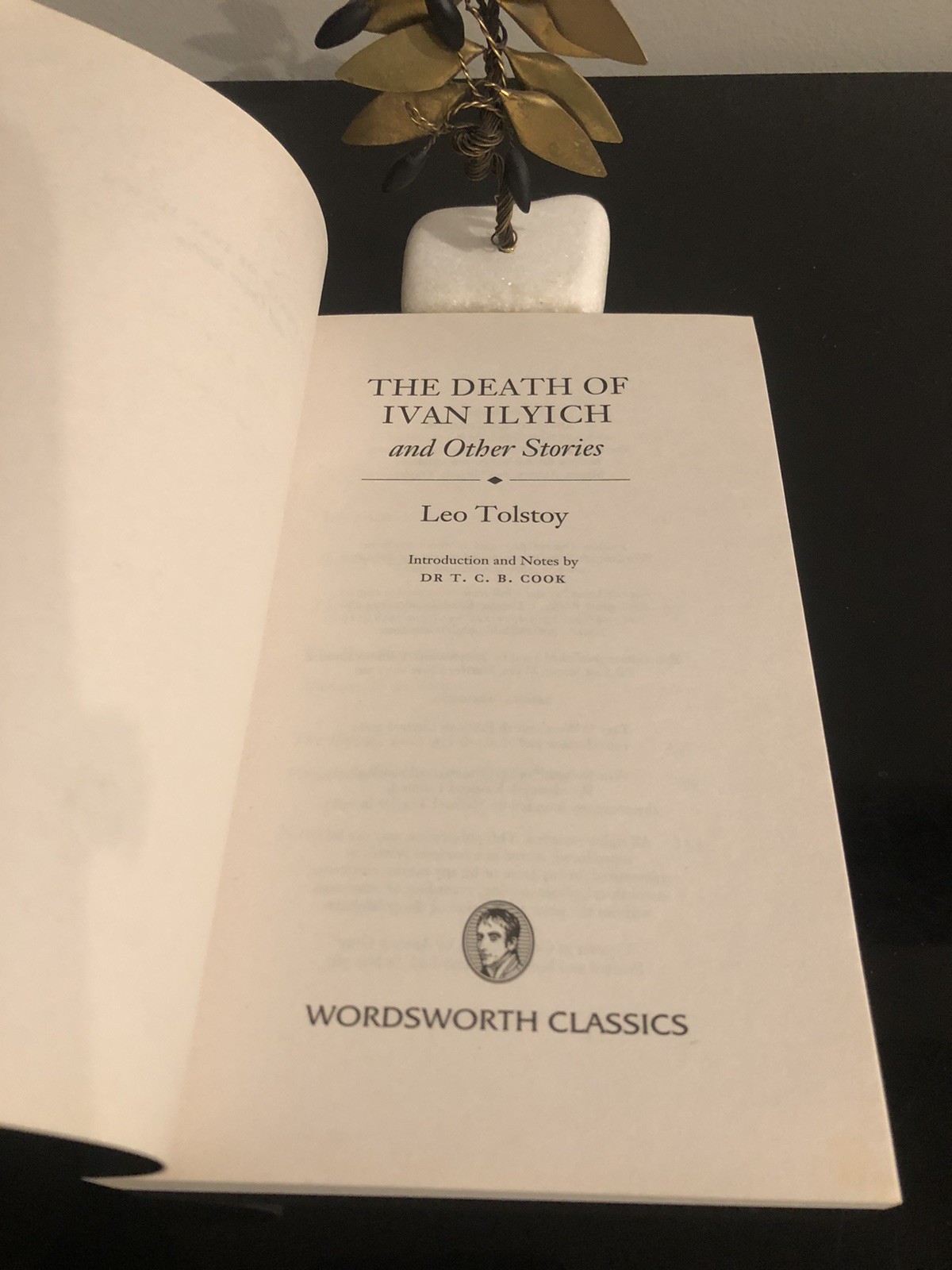 Leo Tolstoy The Death Of Ivan Ilyich & Other Stories Wordsworth Classics UK 2004