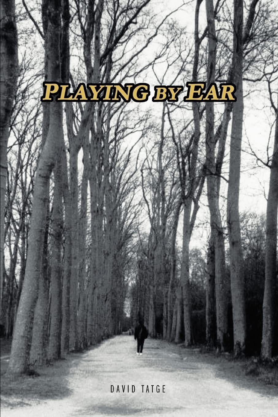 Playing by Ear by David Tatge Trade Paperback Brand New