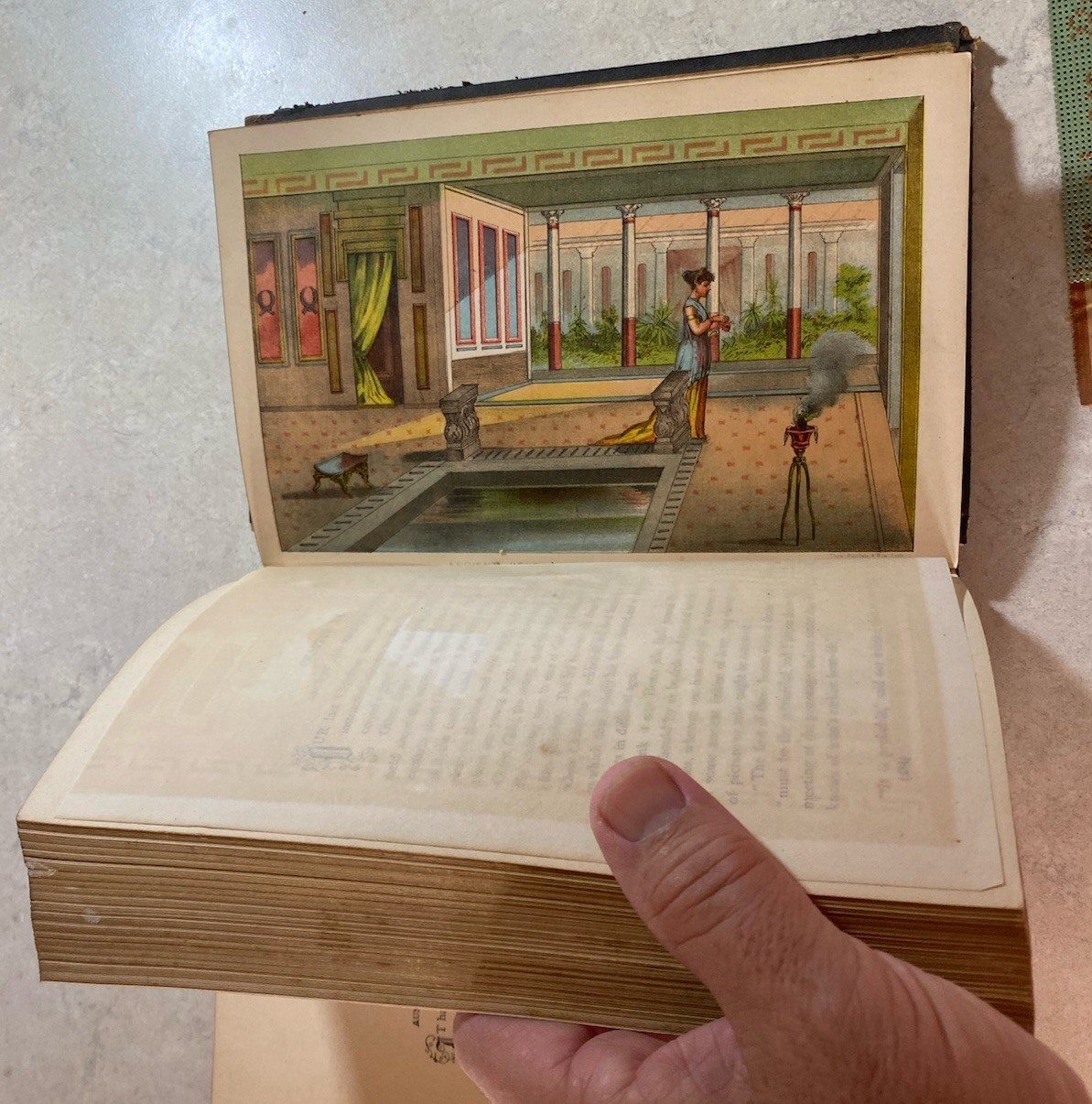 THE COMPLETE HOME JULIA MCNAIR WRIGHT 1882 ENCYCLOPAEDIA OF DOMESTIC LIFE GILT