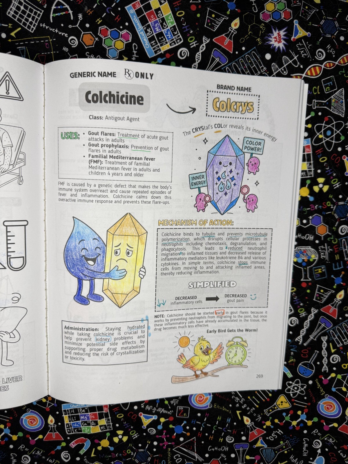 Top 200 Drugs Simplified Coloring Book (P. Burns) | Official Author Direct Copy