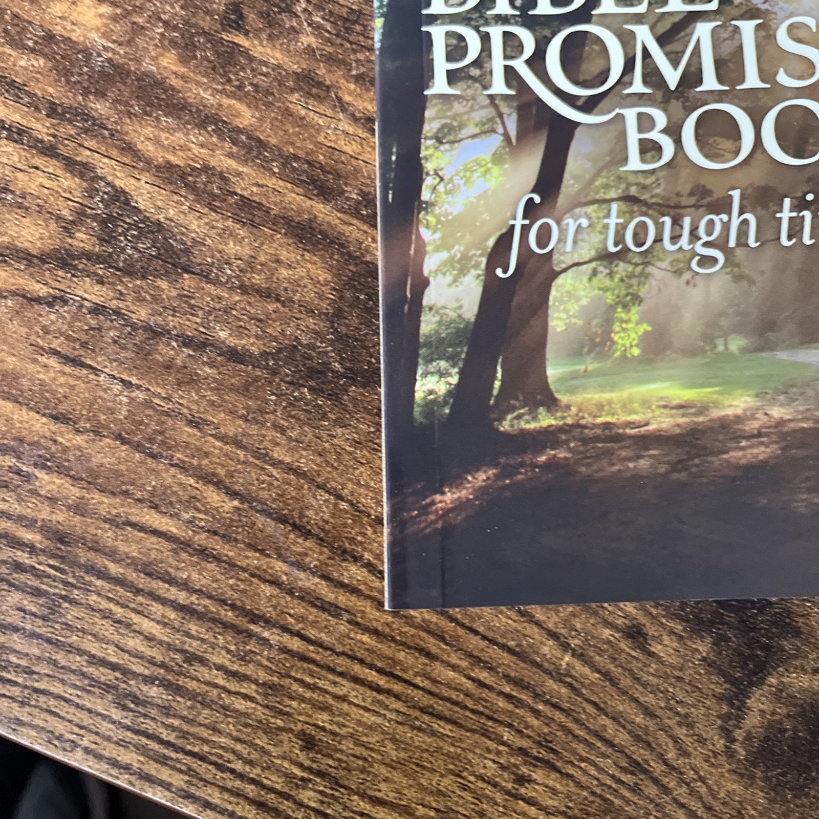 NLT Bible Promise Book for Tough Times by Ronald A. Beers (2011, Trade…