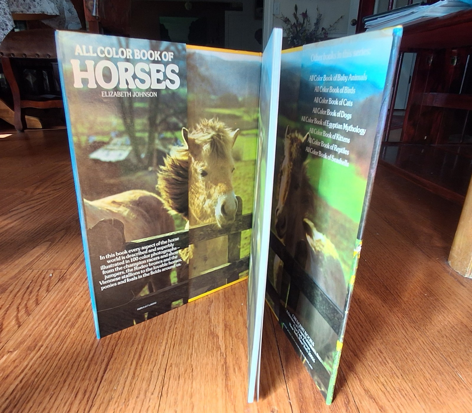 Horse Equestrian Picture Books Riding Horsemanship Horses 1970s Lot of 3 HCDJVG