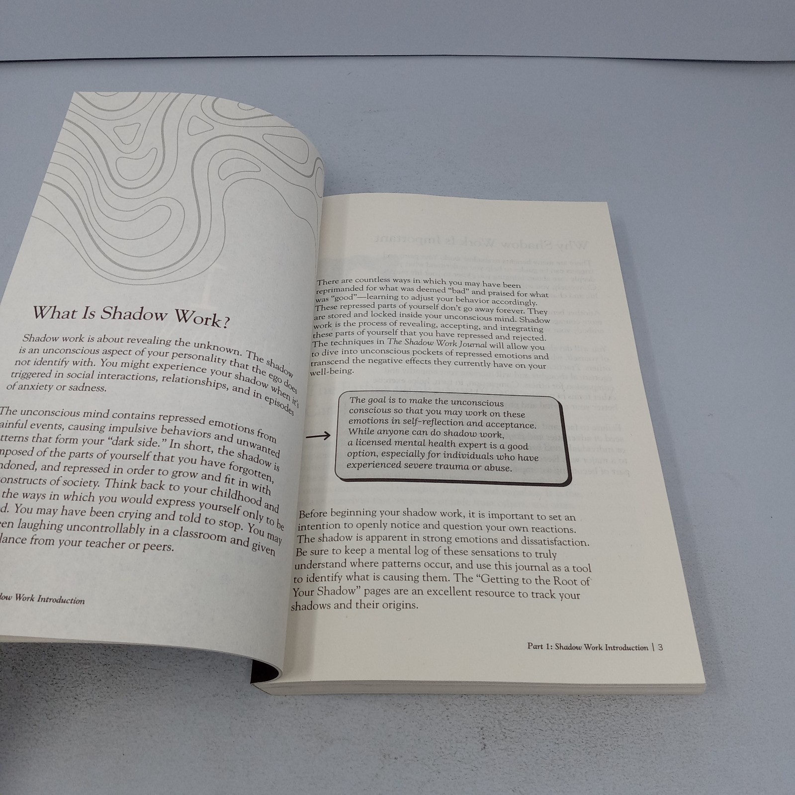 The Shadow Work Journal: 2024 Primero Sueño Press Paperback by Keila Shaheen