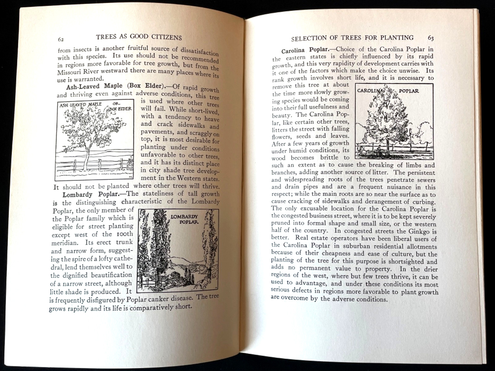Antique Forestry Tree Identification Botany Nature Study 4 Book Lot 1919-1925
