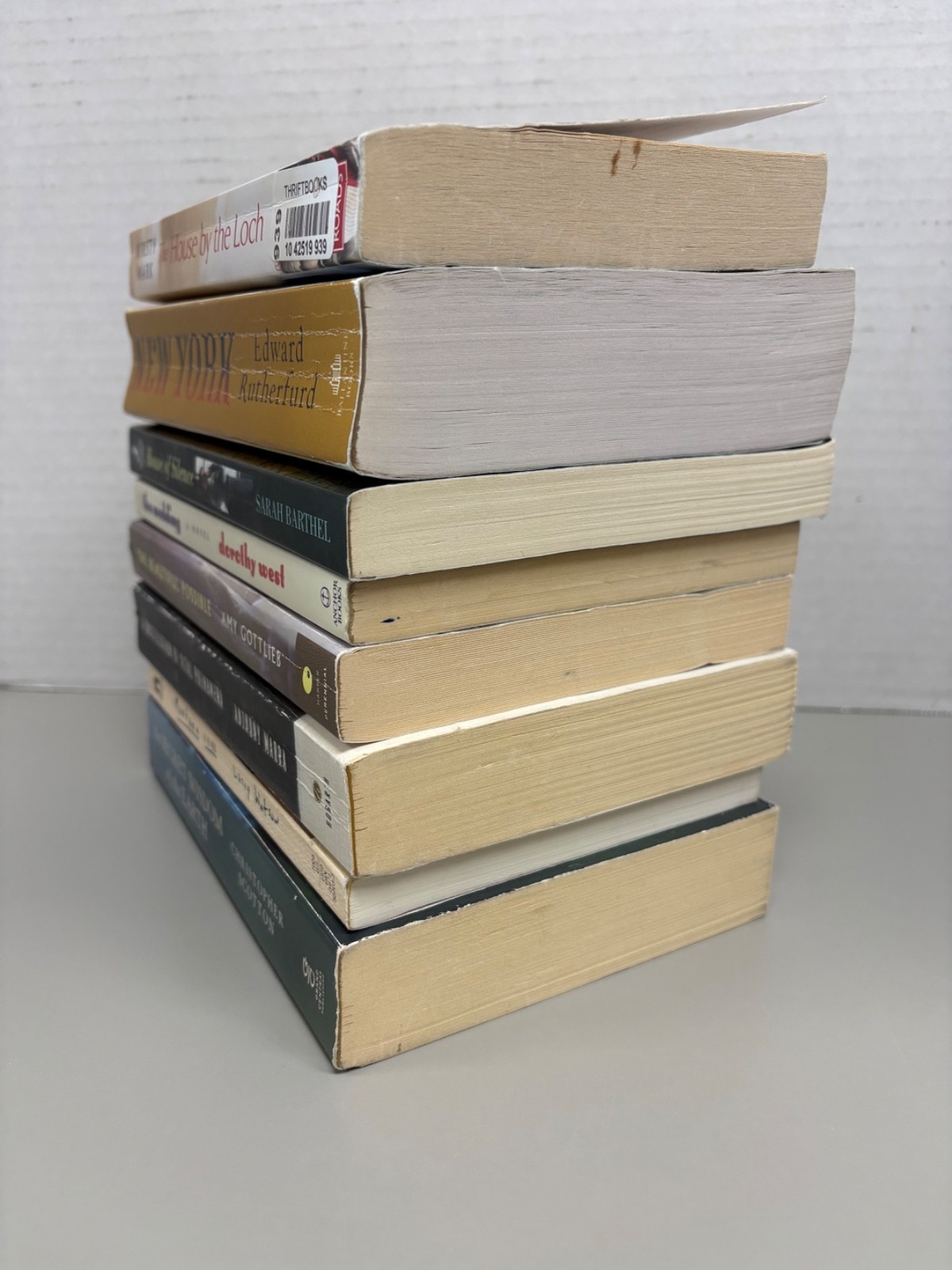 Historical Fiction Lot of 8 Trade Paperbacks (See Photos for Titles)