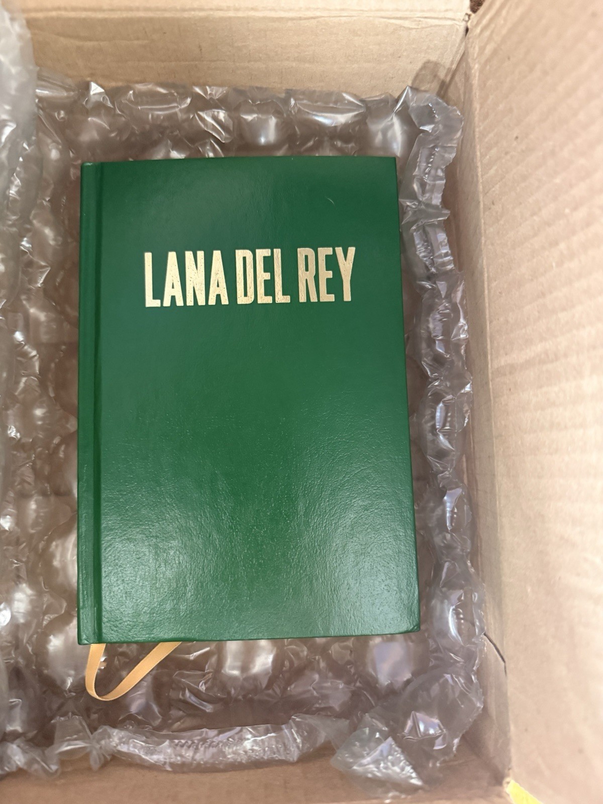 LANA DEL REY Green Hardcover Book – Format: Hardcover, Color: Green