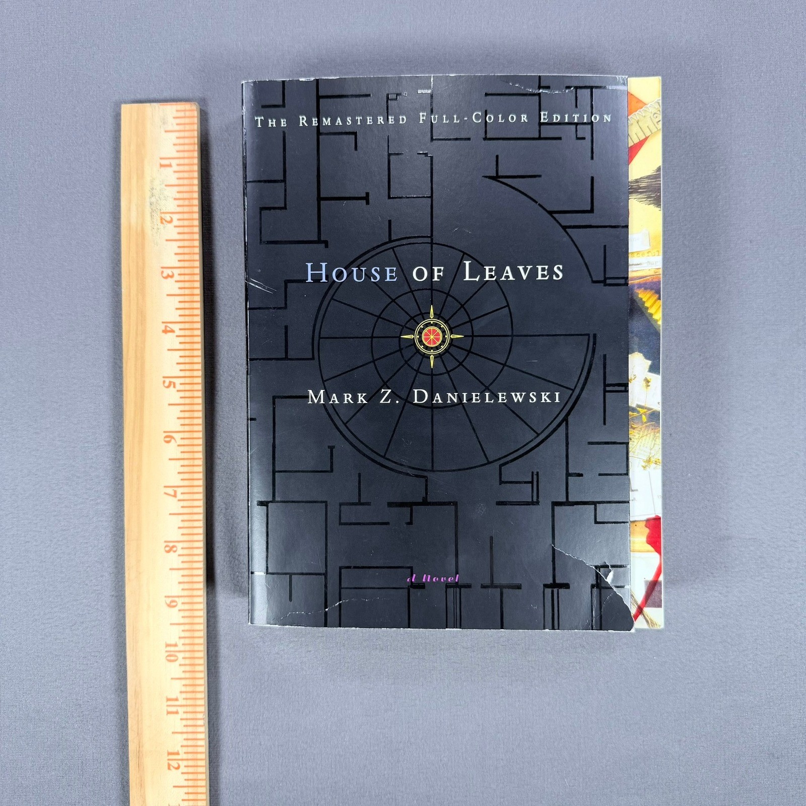 Mark Z. Danielewski House of Leaves Paperback 2000 Full-Color Edition Horror