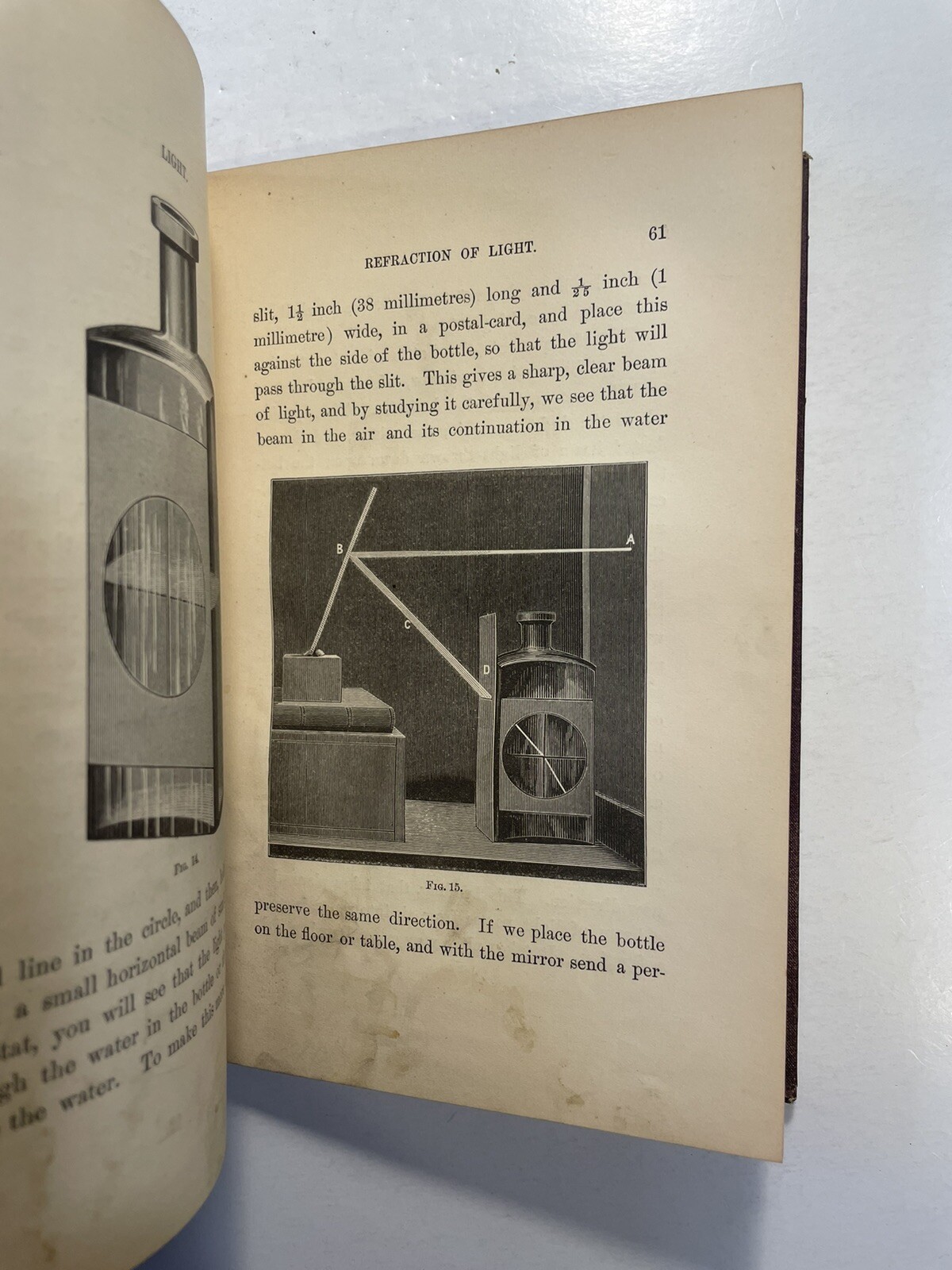 Light Mayer and Barnard D. Appleton and Company 1878 First Edition? Education