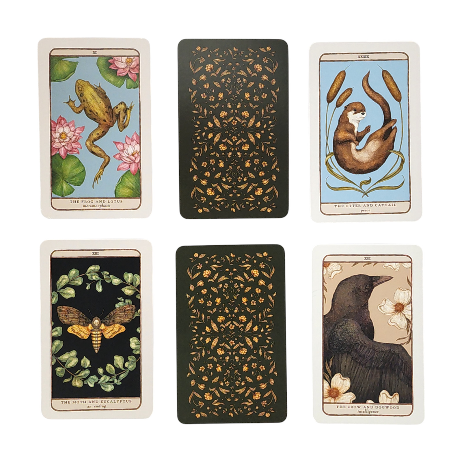 Woodland Wardens: 52-Card Oracle Deck & Guidebook by Jessica Roux Pre-Owned