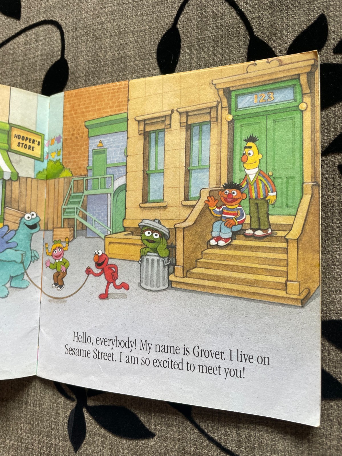 SESAME STREET. MY NAME IS GROVER. TISH RABE. 1994 – 15 BY 14CM. PAPERBACK.