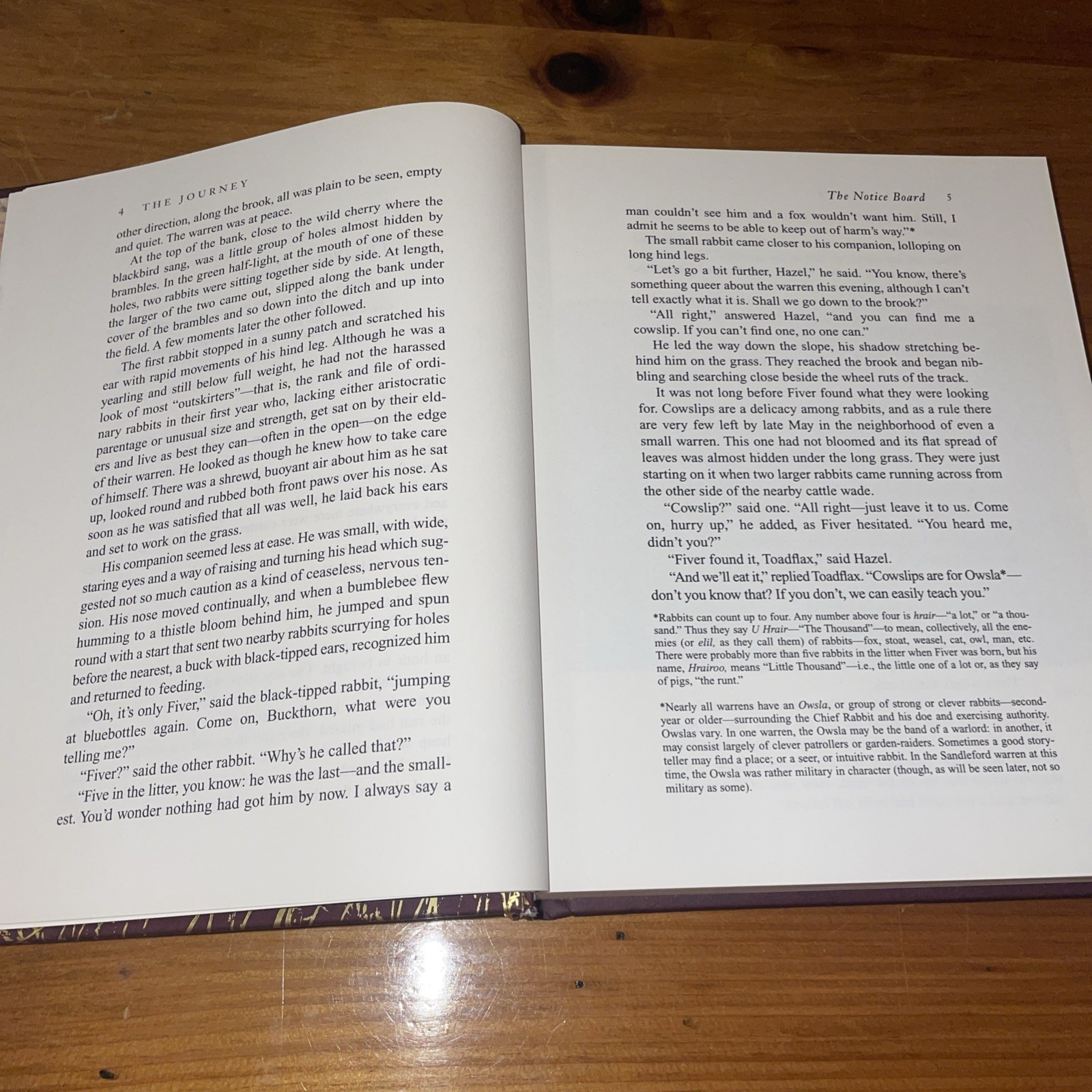 WATERSHIP DOWN Richard Adams & Aldo Galli 2012 Atheneum HB
