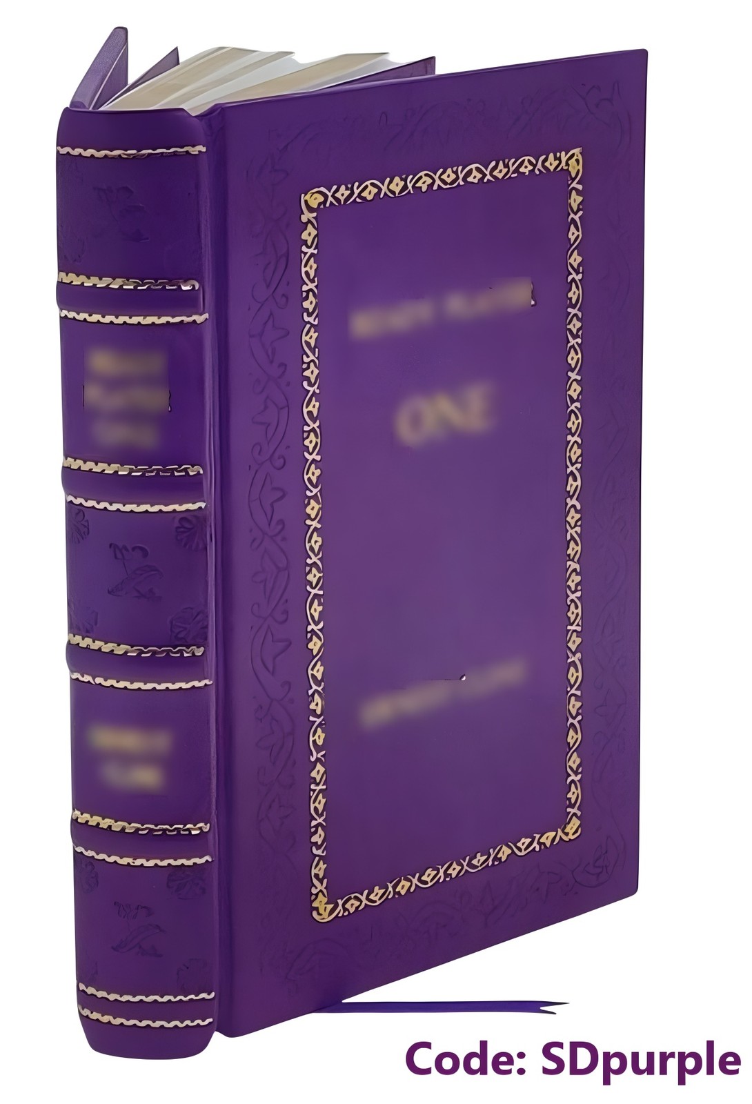 The Hopes and Dreams of Libby Quinn: The perfect uplifti [Premium Leather Bound]
