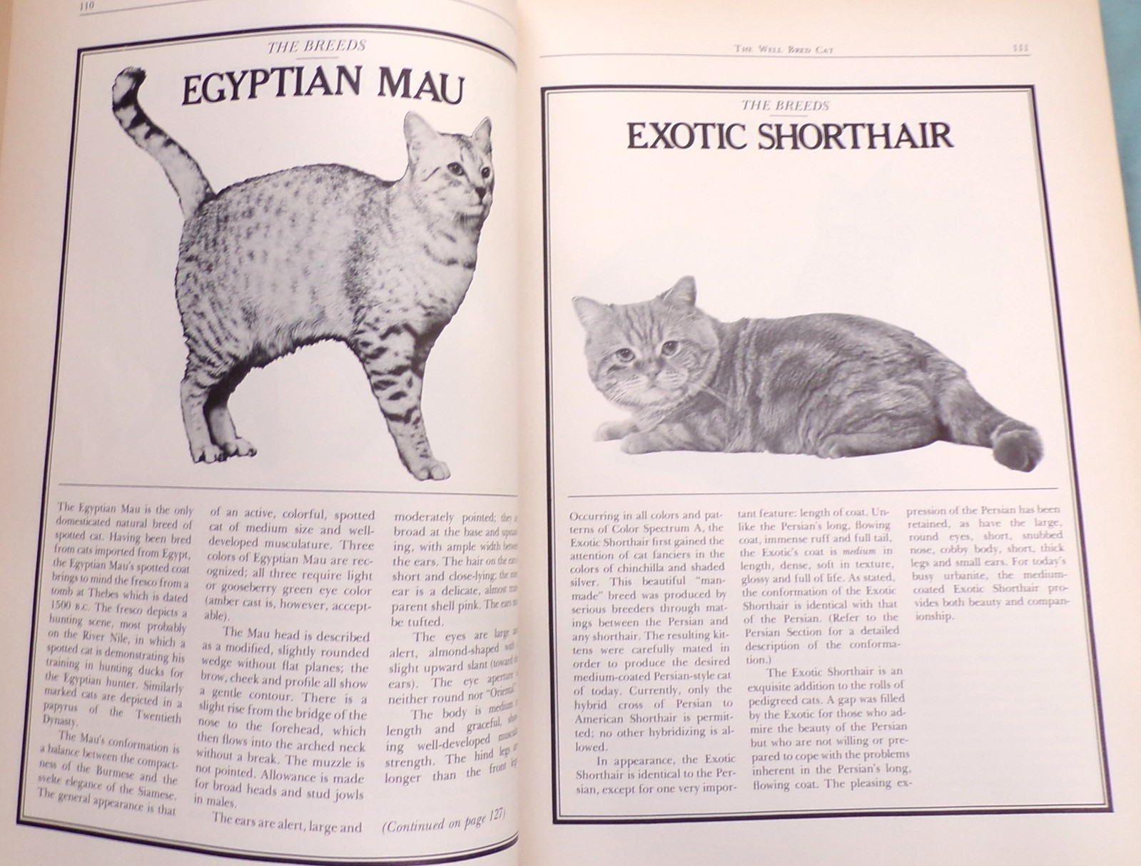 „Cat Catalog“, The Ultimate Cat Book, Large „Very Good“ 1st Ed. Book, 352 pages