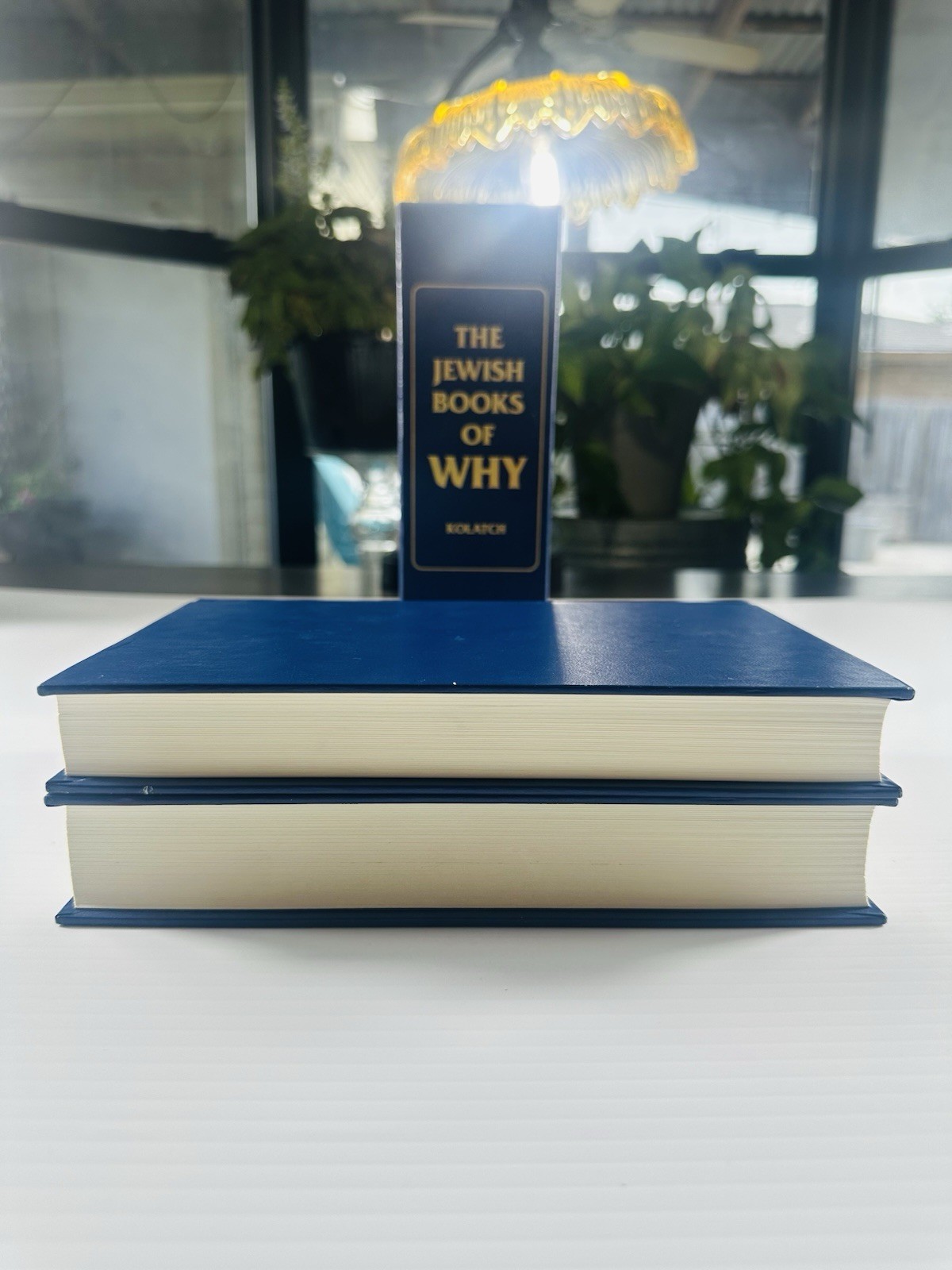 The Jewish Book of Why and Second Book by Alfred J. Kolatch 2 Book Box Set