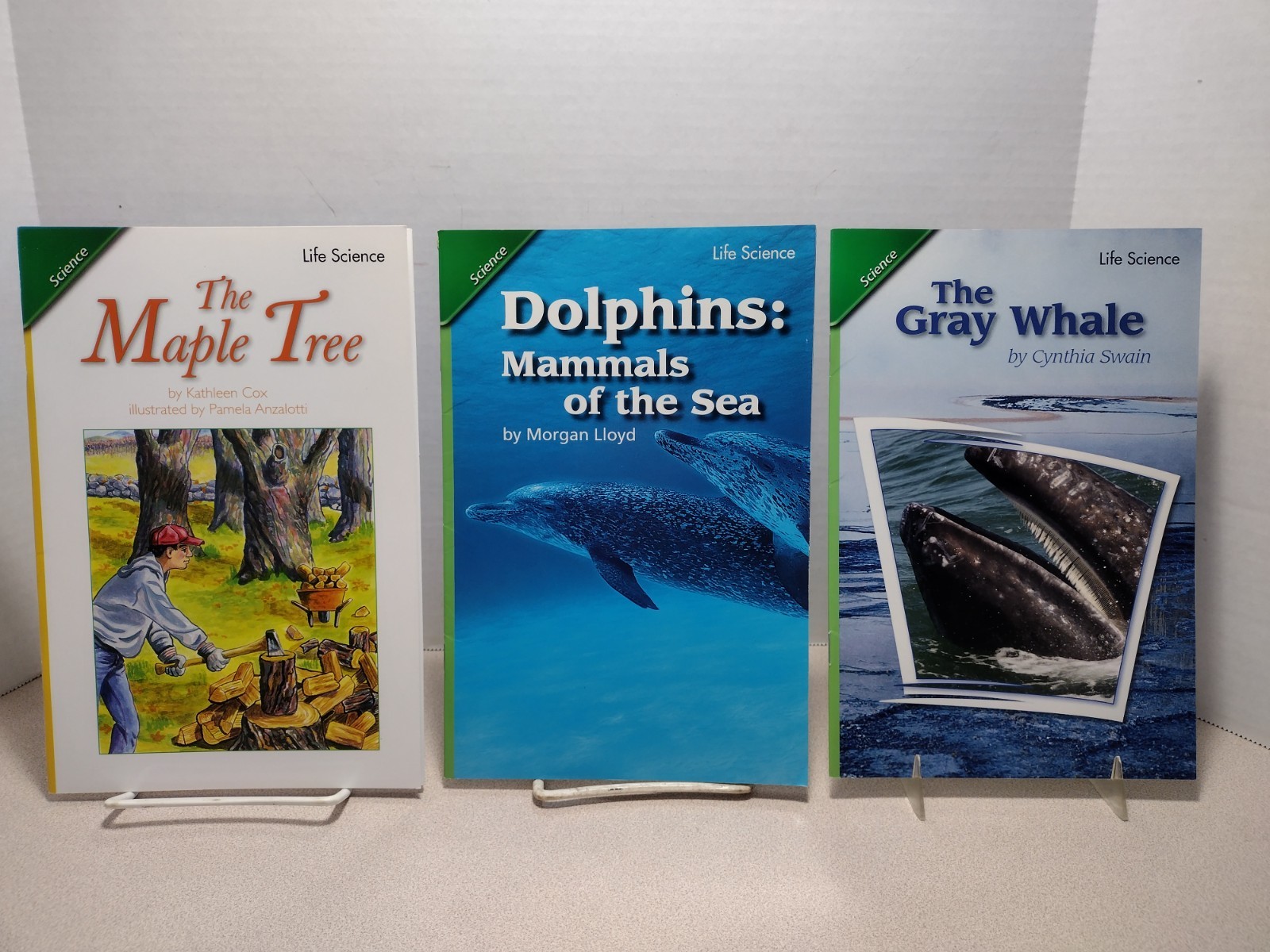 Scott Foresman Reading Street Grade 4 Lot of 22 Science, Social Studies, Reading