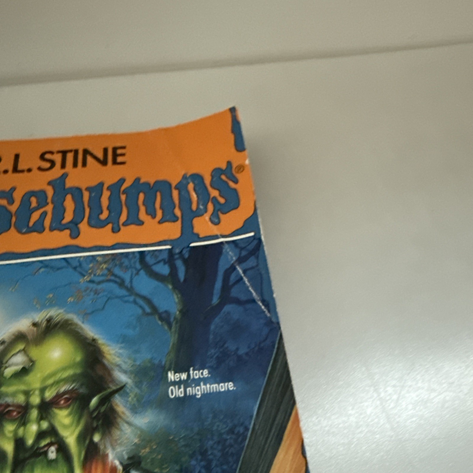 VTG 1990’s Goosebumps Book Lot 12 1st Editions Paperback R. L. Stine Books