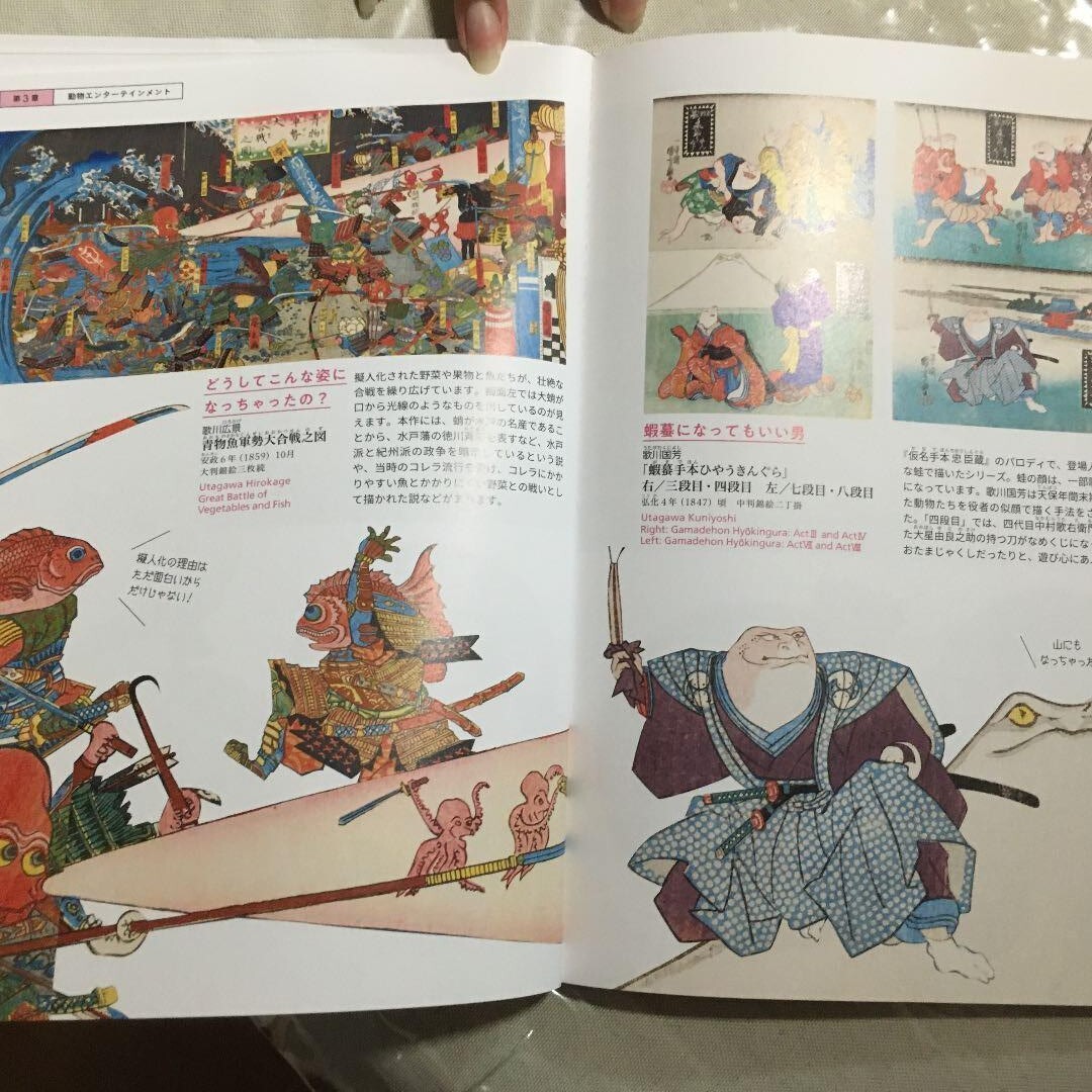 Ukiyo-e Zoological Garden Edo Period Animals Art Illustration Book 125pages