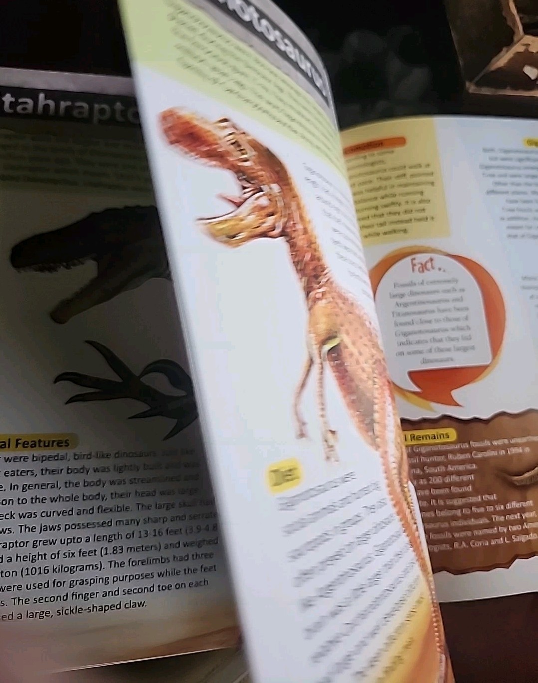Childrens Encyclopedia of Dinosaurs Hard Cover Vision St Publishing Educational