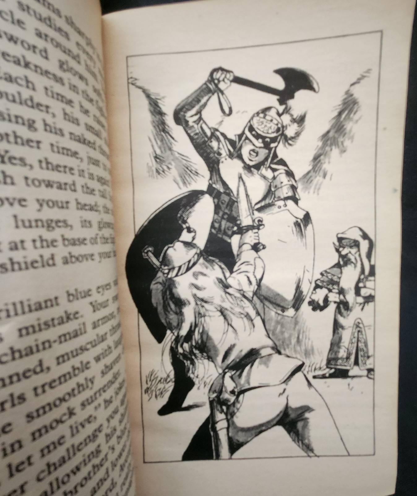 ISLE OF ILLUSION HeartQuest Pick a Path Book #4 TSR fantasy romance VTG 1980s