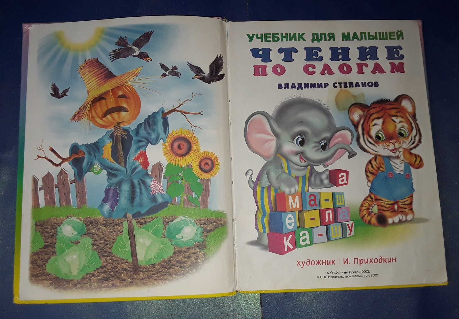 Russian Kids Illustrated Book Textbook for toddlers Stepanov reading syllable