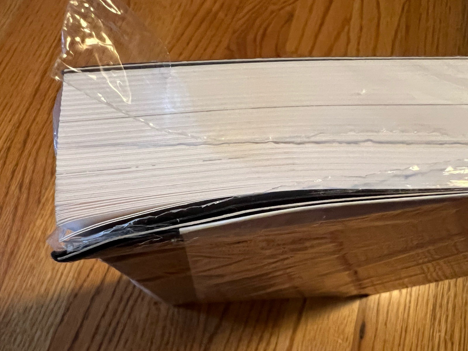 Book About Ray Hardcover by Ellen Levy New
