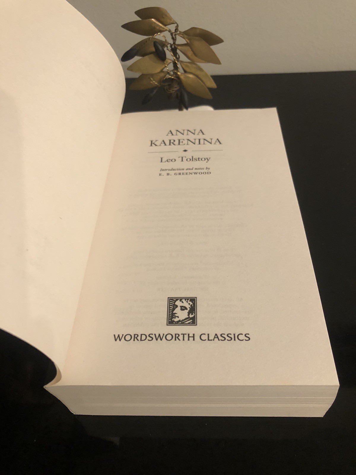 Leo Tolstoy Anna Karenina Wordsworth Classics UK 1999 Edition Brand New