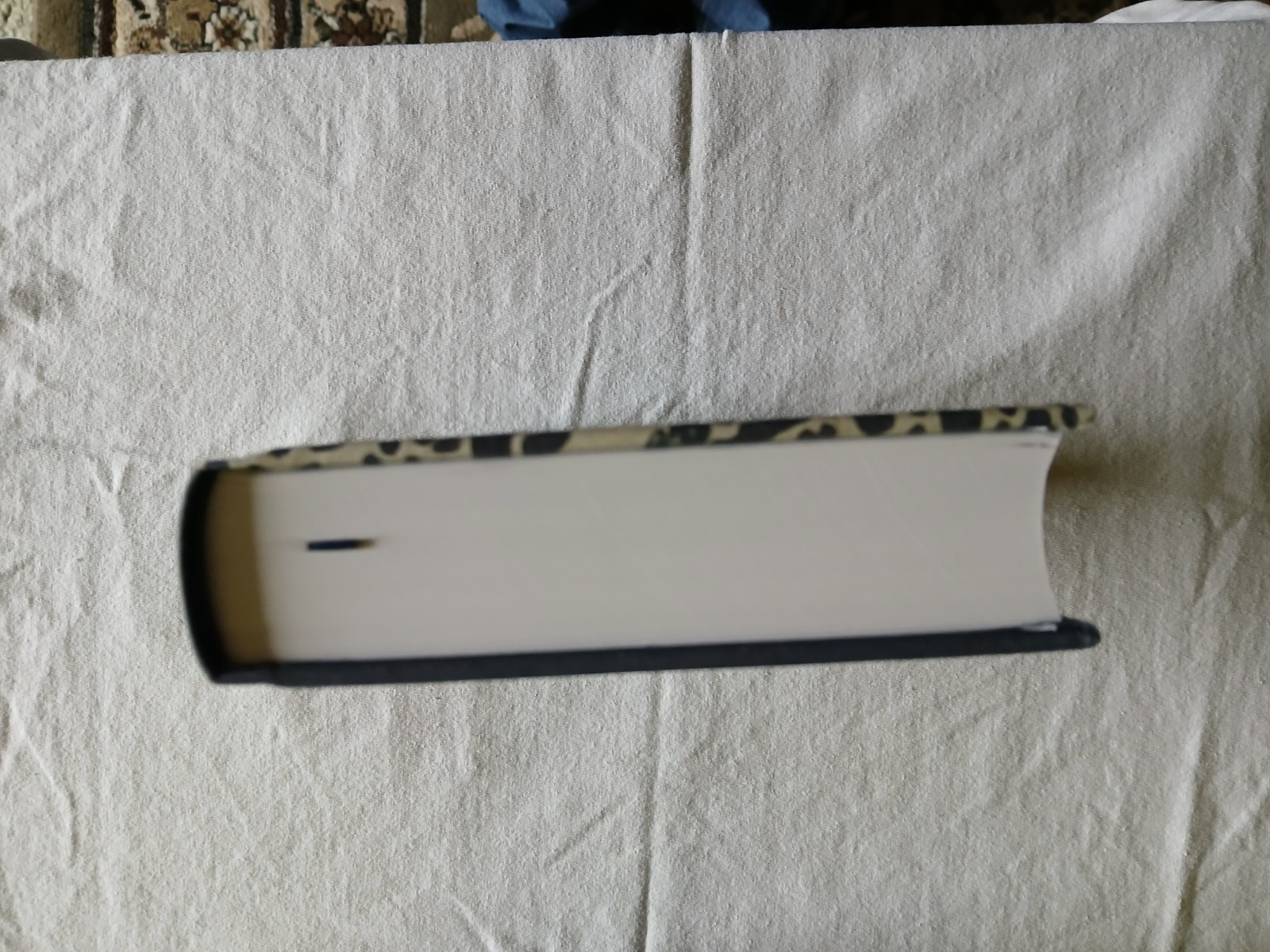 ESV Personal Reference Bible (Cloth over Board, Blue Flora) by Not Available…