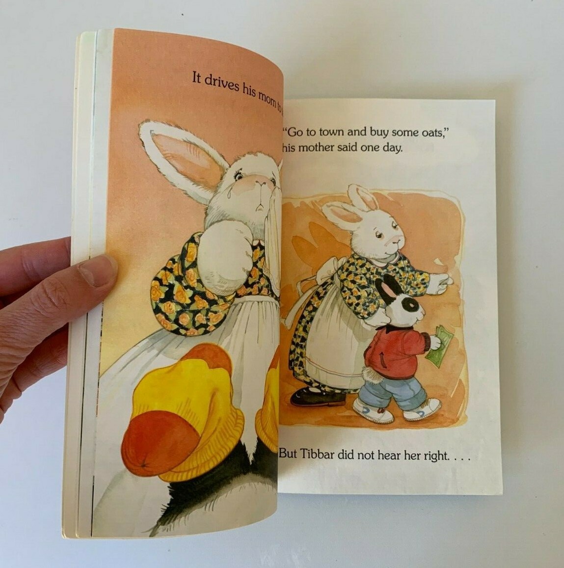 The Wrong-Way Rabbit (Hello Reader Level 2) by Teddy Slater (PB 1993) book