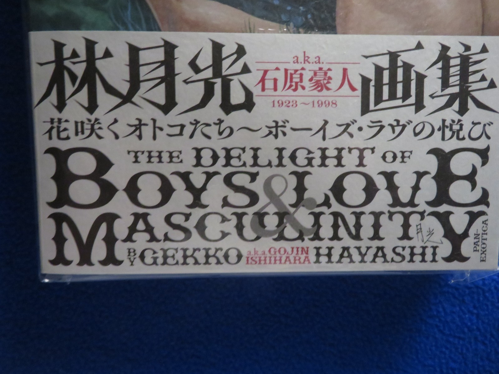 THE DELIGHT OF BOYSLOVE & MASCULINITY TREVILLE 2023 PAN EXOTICA