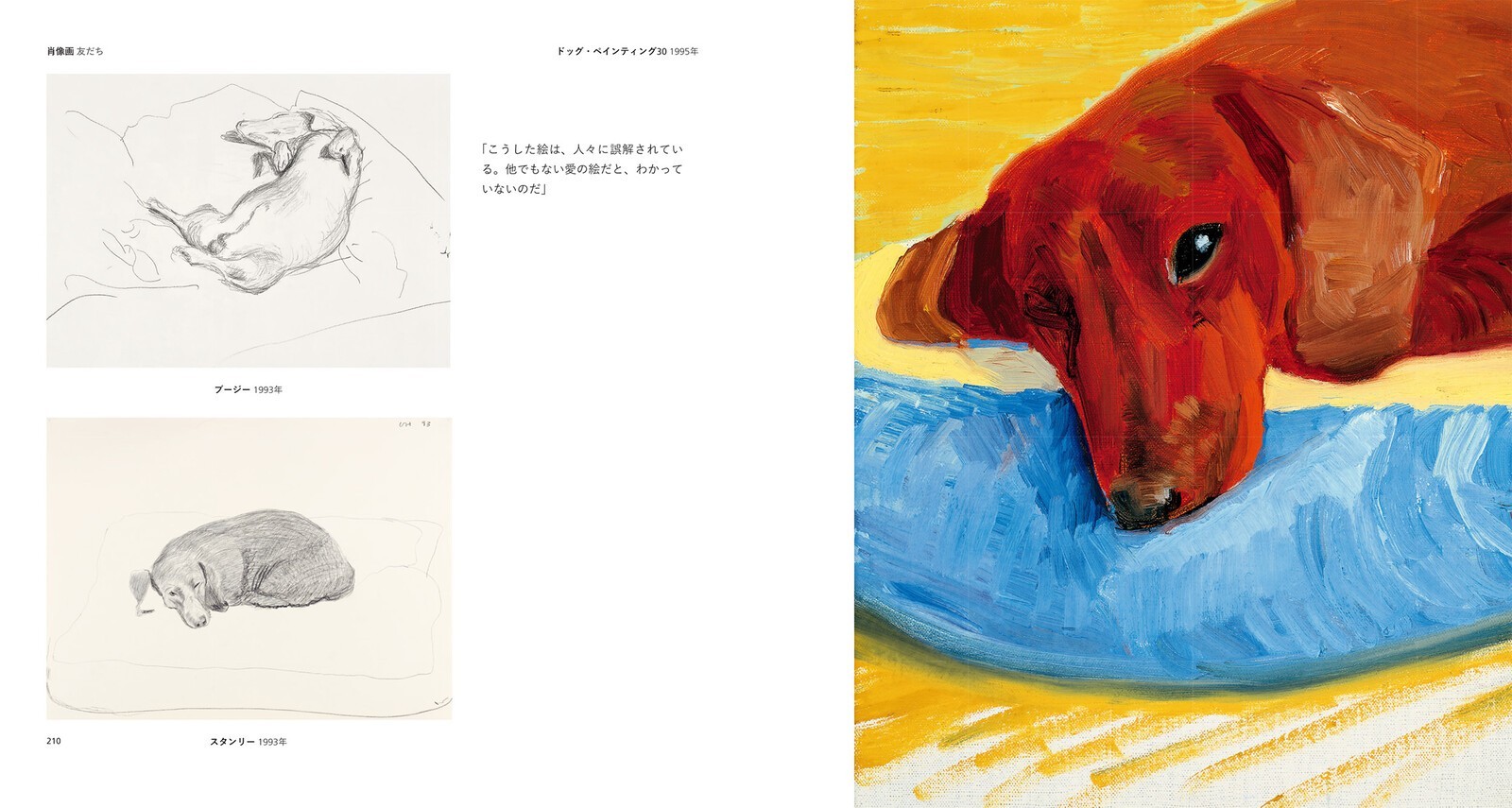 David Hockney Art Book 496 pages Painting Drawing Photo Collection Japan NEW