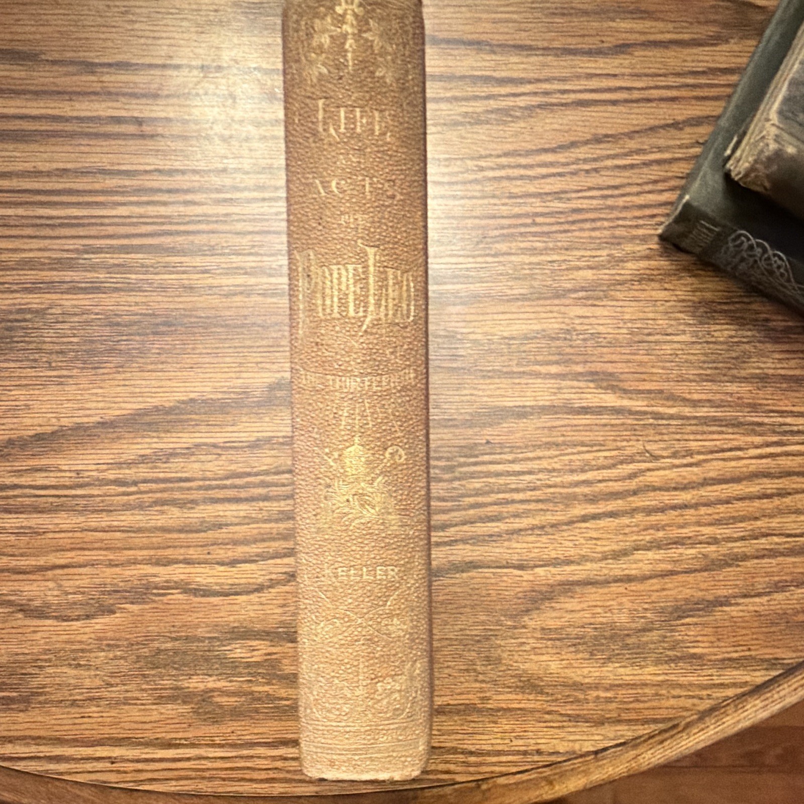 1888 Life of Pope Leo XIII Golden Jubilee Edition Illustrated Catholic Antique