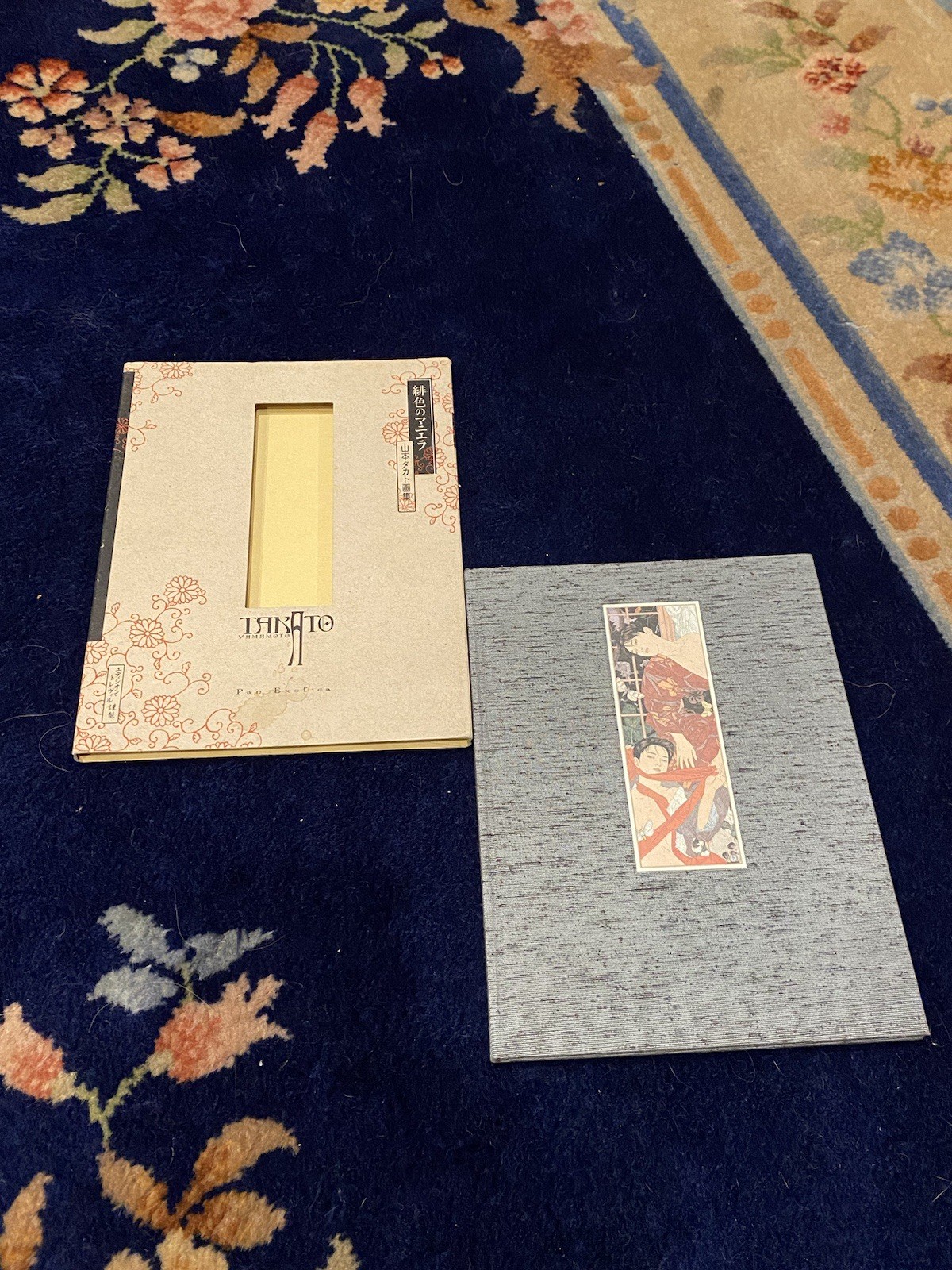 Takato Yamamoto SCARLET MANIERA Hardcover Japanese Art Book Slipcase Pan Exotica