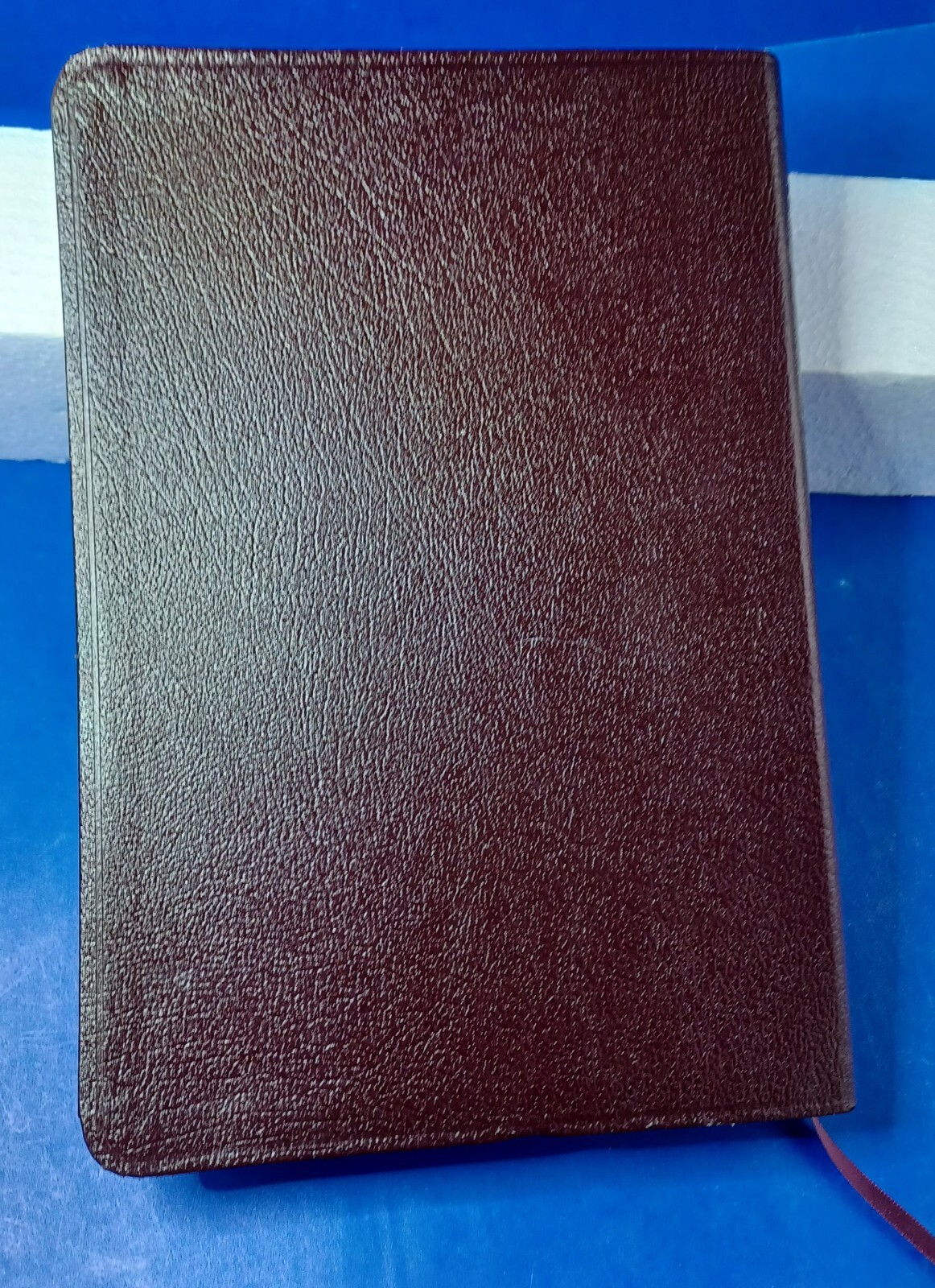 The Jack Van Impe Prophecy Bible Red Letter King James Limited Ed Gilt Pages