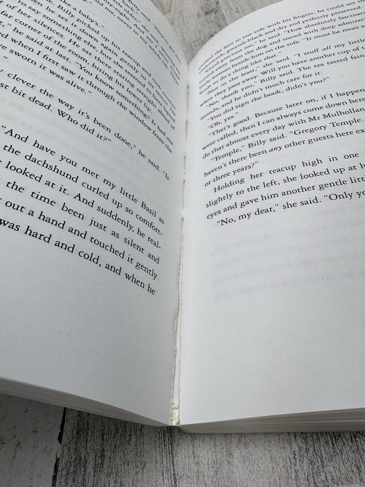 Roald Dahl Umbrella Man Advance Reading Copy ARC Viking Proof