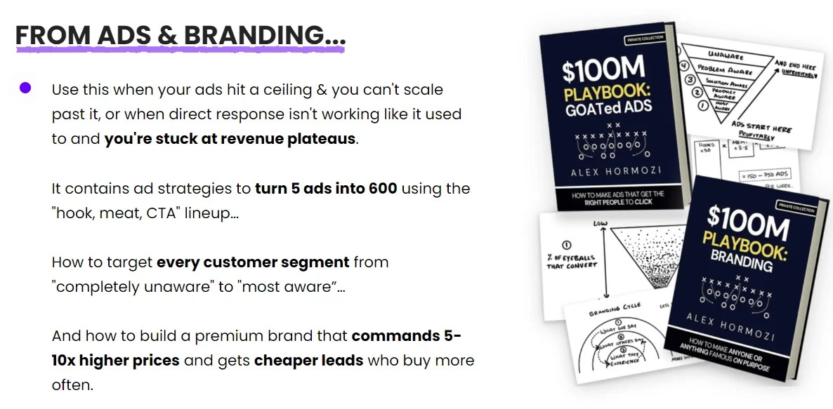 $100M Money Models by Alex Hormozi + All 12 Money Model Digital Playbooks