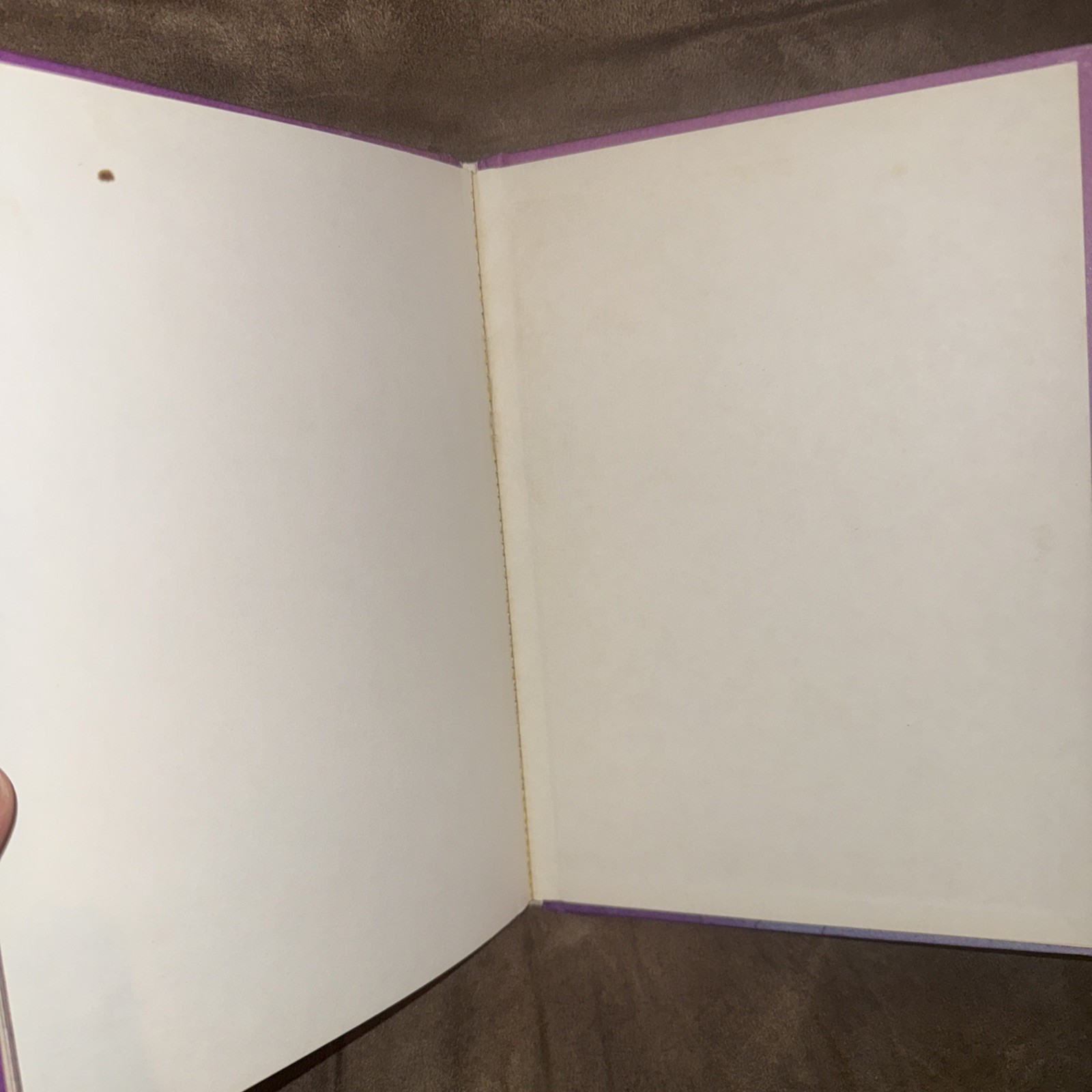 My Adventure in Mother Goose Land by Alan L. Taylor 1974