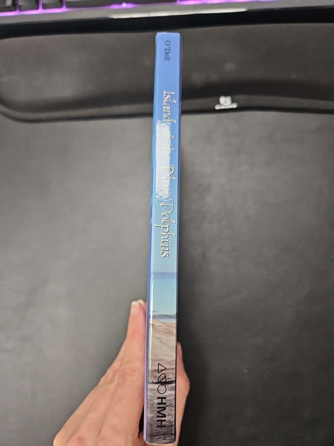 Island of the Blue Dolphins – Paperback By ODell, Scott – VERY GOOD