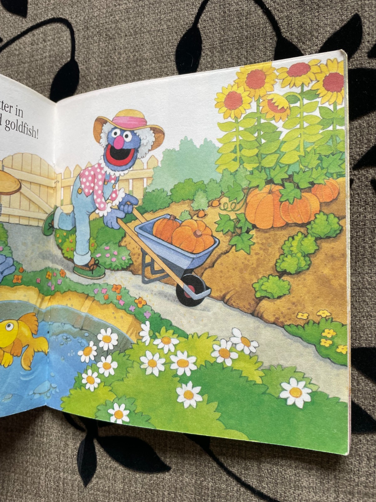 SESAME STREET. MY NAME IS GROVER. TISH RABE. 1994 – 15 BY 14CM. PAPERBACK.