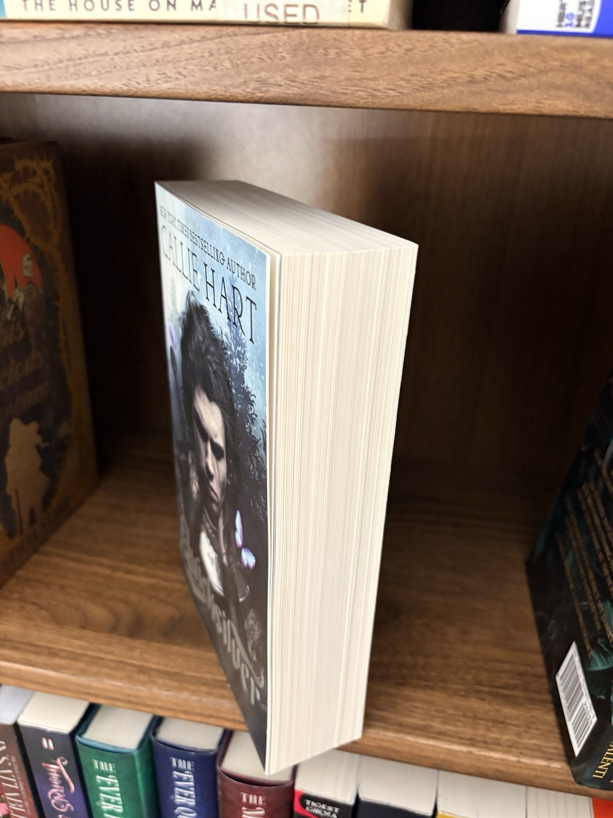Quicksilver by Callie Hart (2024 Trade Paperback) Original Cover