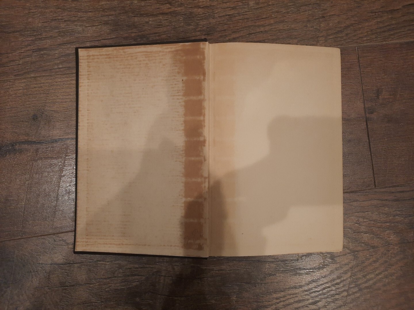1938 Hardcover Book Dead Ned by John Masefield The Macmillan Company