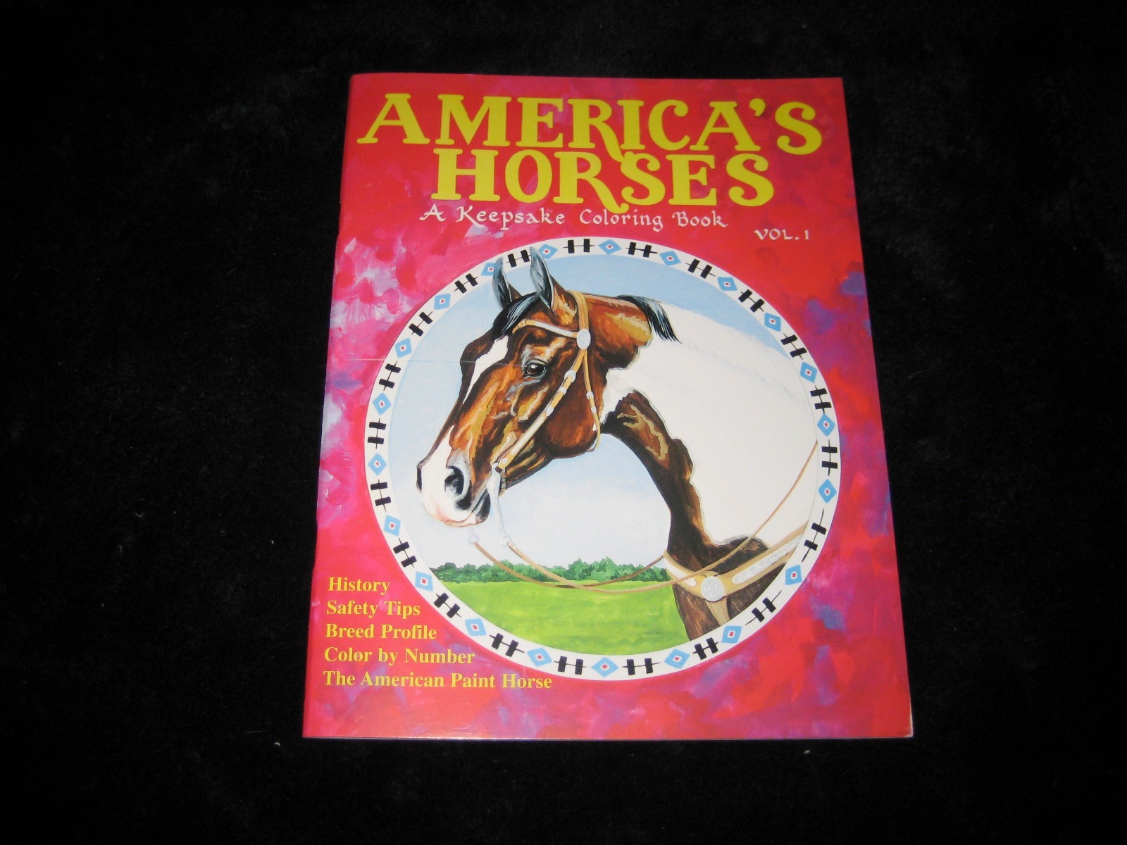 America’s Horses Paint Horse A Keepsake Coloring Activities Equestrian 32pg Book