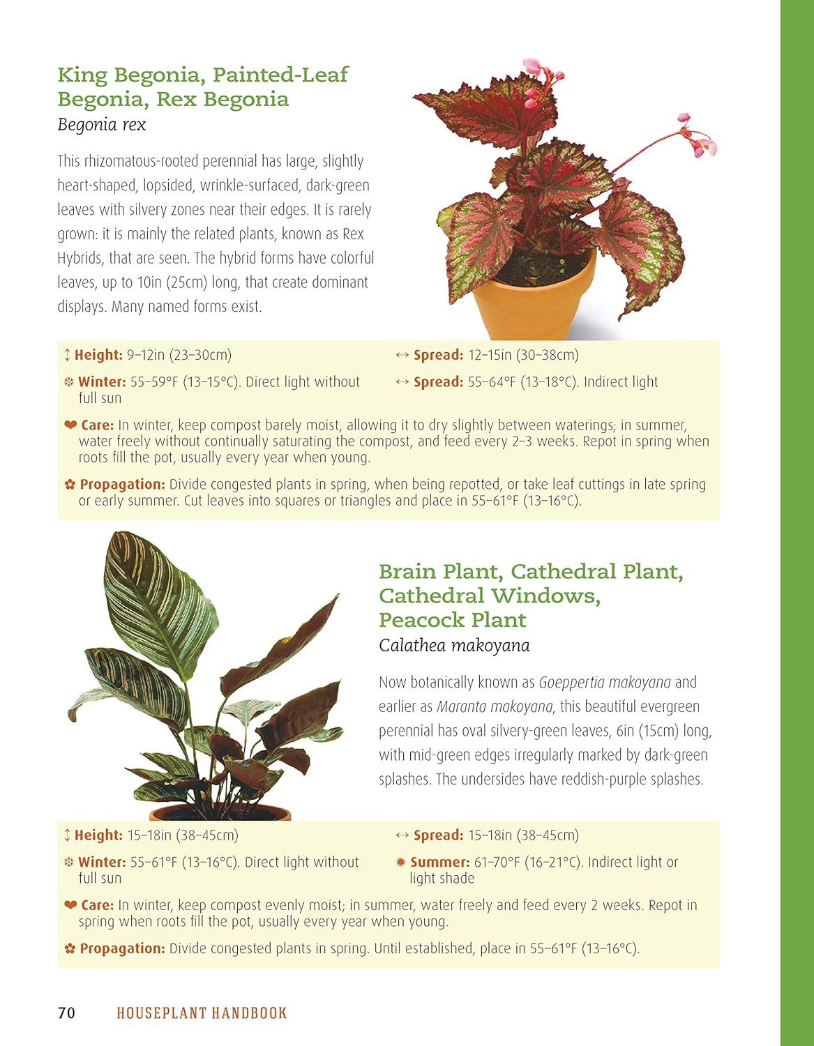 Houseplant Handbook: Basic Growing Techniques and a Directory of 300 Everyday Ho