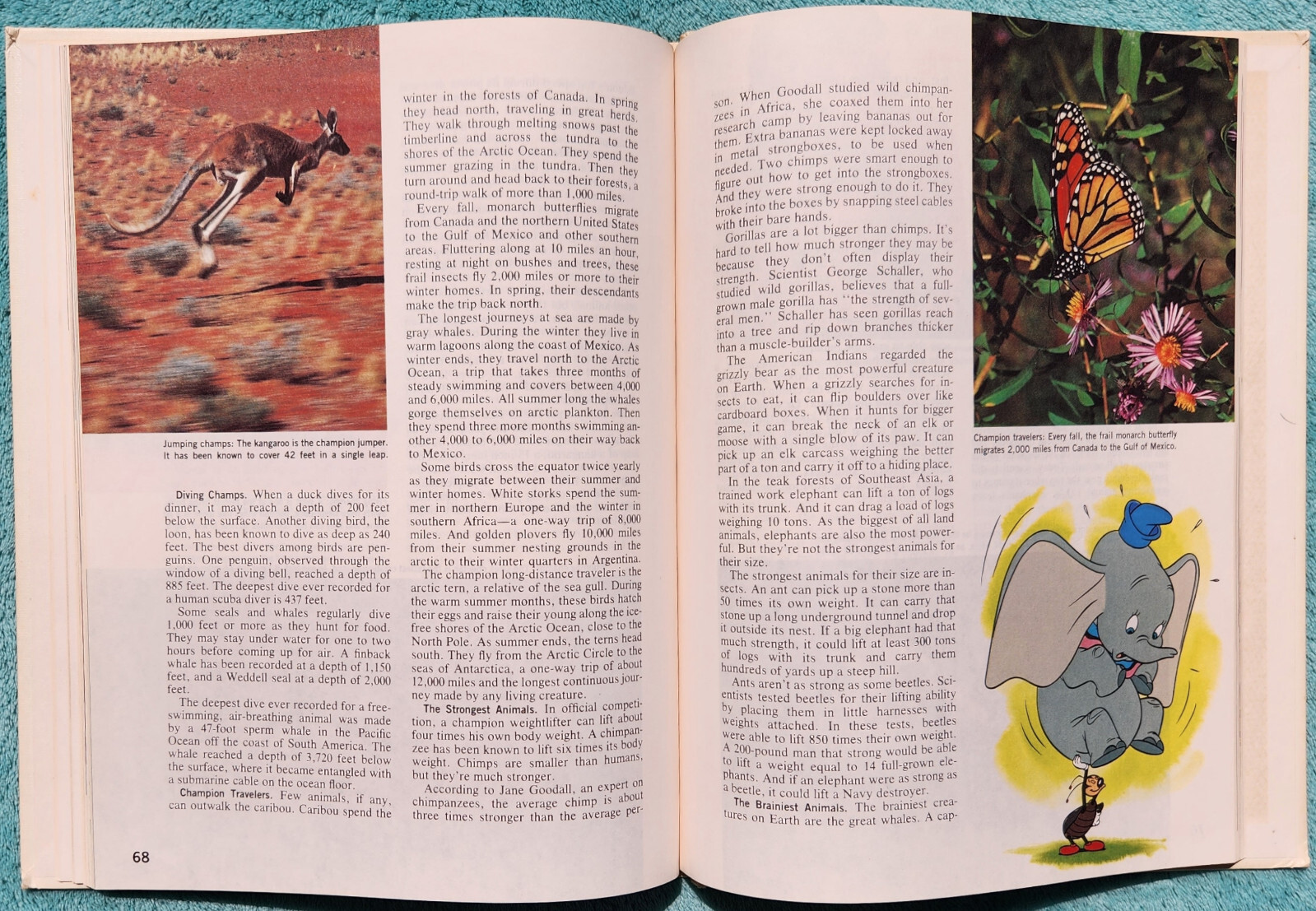Disney’s Wonderful World Of Knowledge 1985 Yearbook Hardcover 124 Pages