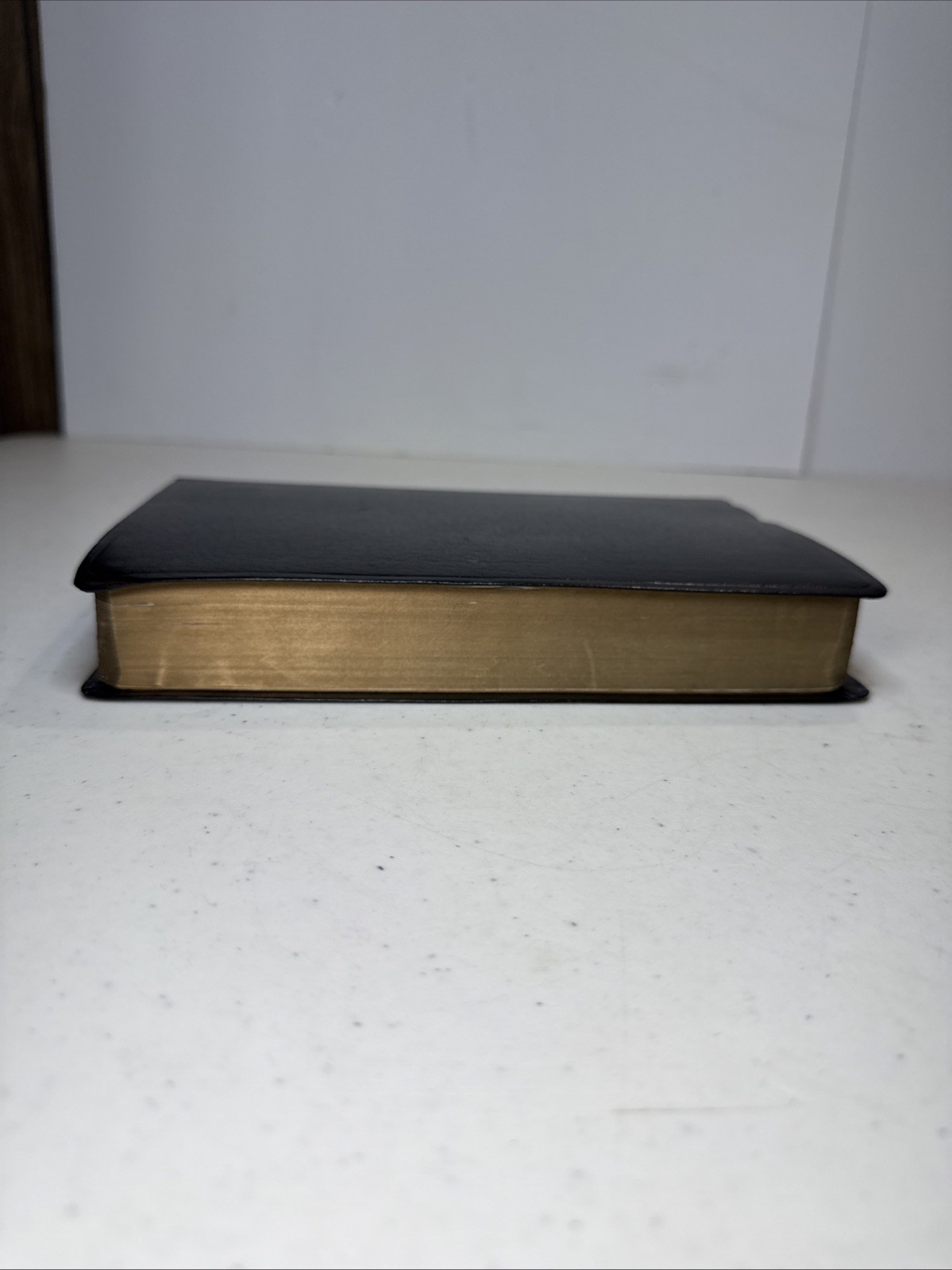 The New American Holy Bible 1991 Catholic Edition 9053 Copyright 1987