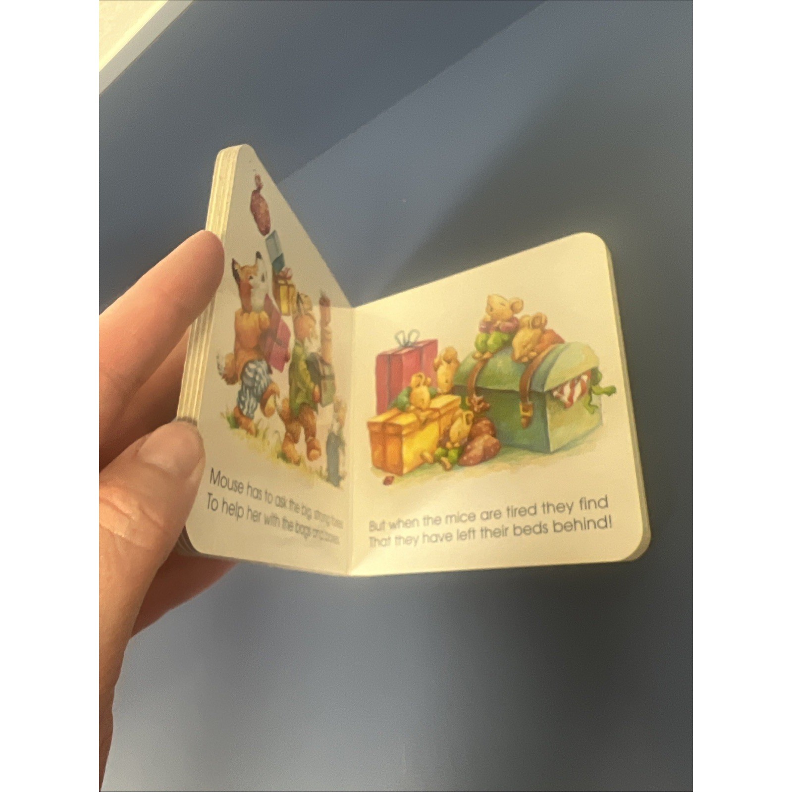 MOUSE’S HOUSE (BIG LITTLE FAT BOOKS) By Lorna Read & Roy Trower – Hardcover *VG*