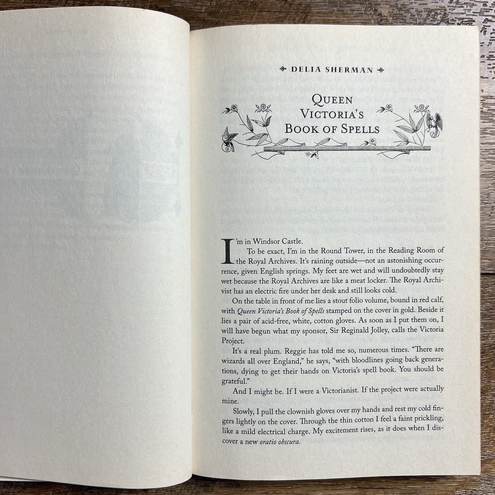Queen Victoria’s Book of Spells • An Anthology of Gaslamp Fantasy • Paperback