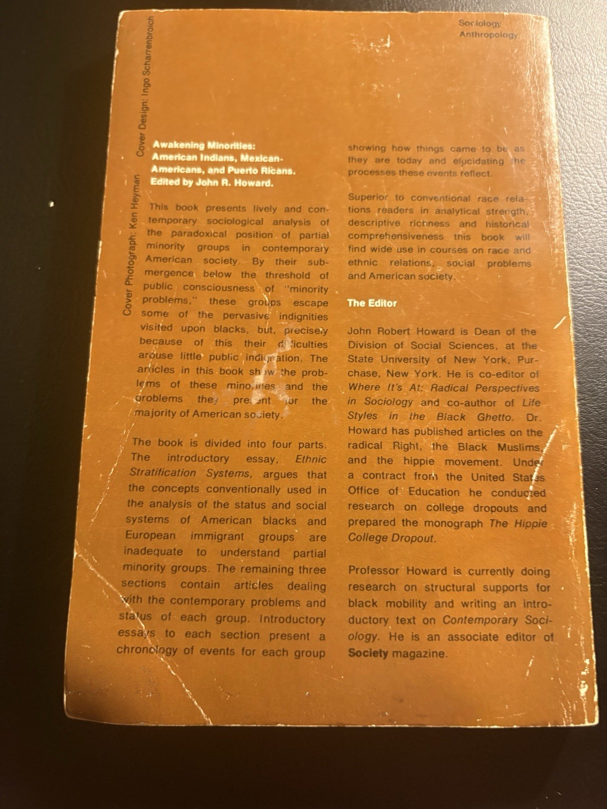 Awakening Minorities 1970 PB Chicano Native Puerto Rican