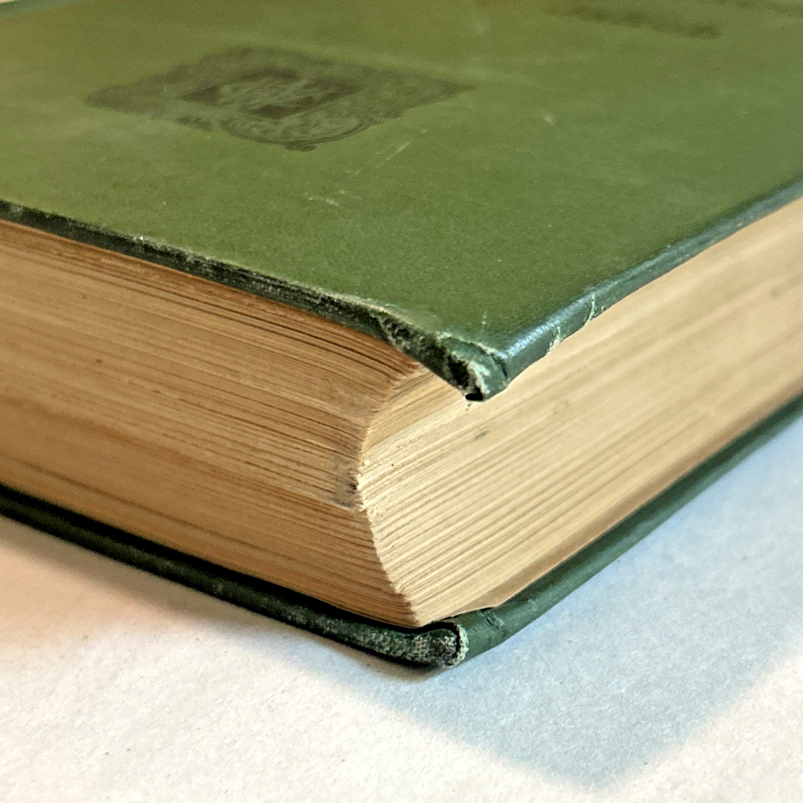 Atlas of Normal and Pathological Nervous Systems ~ 1896 ~ C. Jakob ~ Color Illus