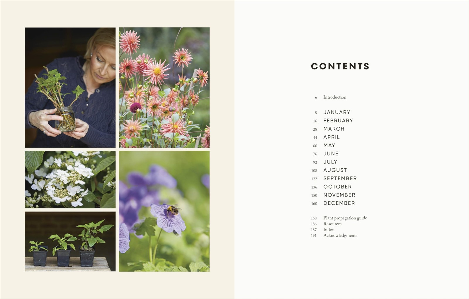 The Money-Saving Garden Year: A Month-by-month Guide to a Great Multicolor