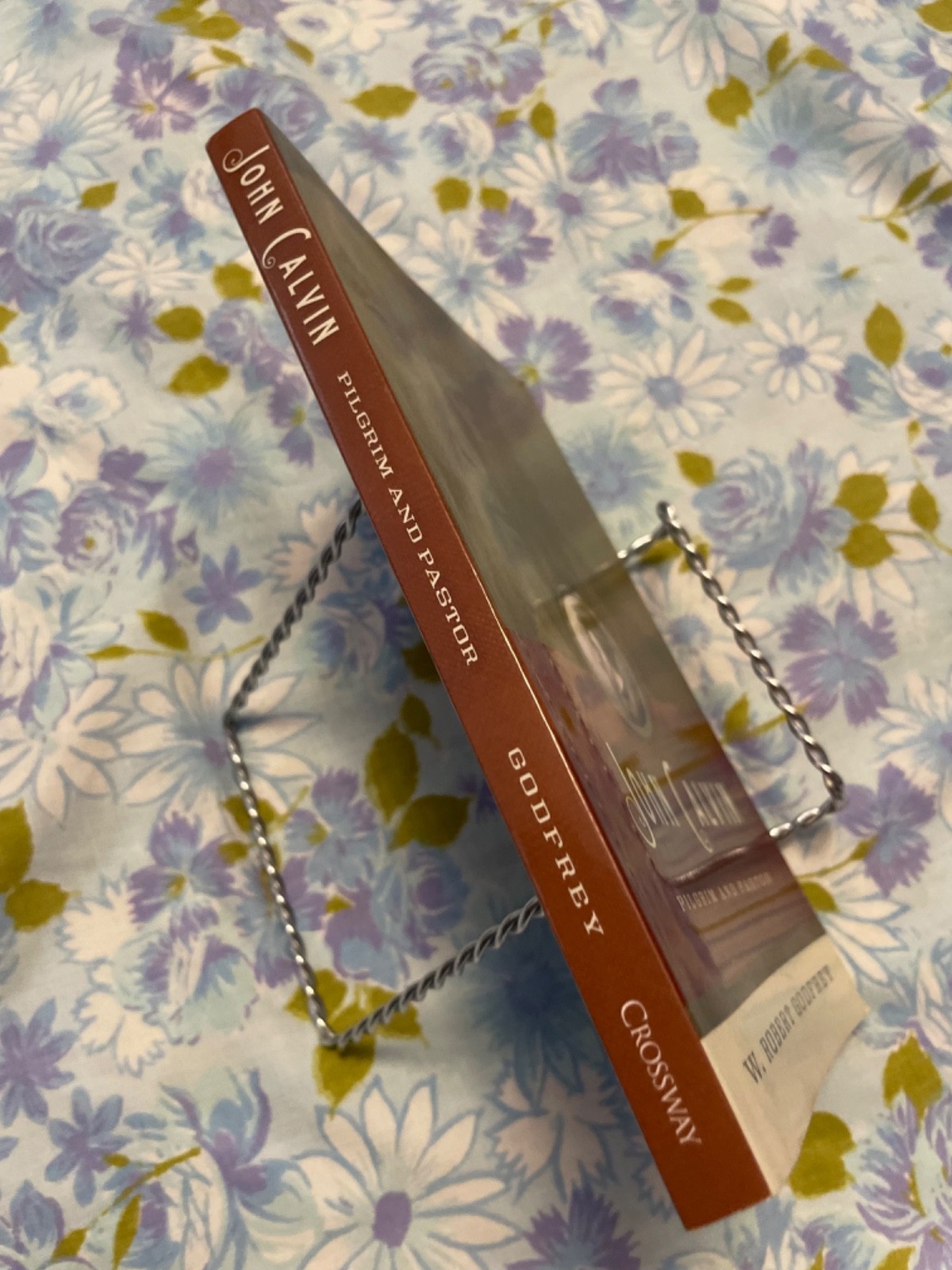 BOOK John Calvin Pilgrim and Pastor W ROBERT GODFREY paperback Pb 2009 Crossway